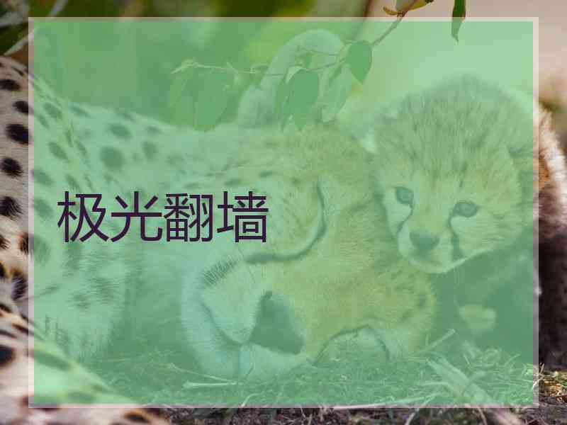 极光翻墙 极光翻墙